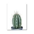 Picture of Cactus     _GroupedProduct_Rectangle_Portrait_Canvas_