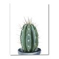 Picture of Cactus     _GroupedProduct_Rectangle_Portrait_Canvas_