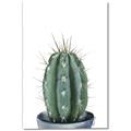 Picture of Cactus     _GroupedProduct_Rectangle_Portrait_Canvas_