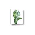 Picture of Snake Leaves _GroupedProduct_Rectangle_Portrait_Canvas_