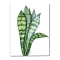 Picture of Snake Leaves _GroupedProduct_Rectangle_Portrait_Canvas_