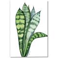 Picture of Snake Leaves _GroupedProduct_Rectangle_Portrait_Canvas_