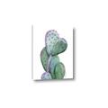 Picture of Prickly Pear Cactus  _GroupedProduct_Rectangle_Portrait_Canvas_
