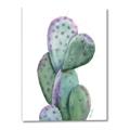 Picture of Prickly Pear Cactus  _GroupedProduct_Rectangle_Portrait_Canvas_