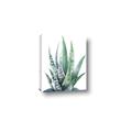 Picture of Zebra Succulent  _GroupedProduct_Rectangle_Portrait_Canvas_