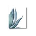 Picture of Succulent  _GroupedProduct_Rectangle_Portrait_Canvas_