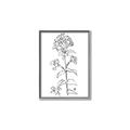 Picture of Single Hydrangea Drawing _GroupedProduct_Rectangle_Portrait_Canvas_Framed_