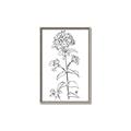 Picture of Single Hydrangea Drawing _GroupedProduct_Rectangle_Portrait_Canvas_Framed_