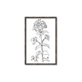 Picture of Single Hydrangea Drawing _GroupedProduct_Rectangle_Portrait_Canvas_Framed_
