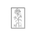 Picture of Single Hydrangea Drawing _GroupedProduct_Rectangle_Portrait_Canvas_Framed_