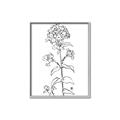 Picture of Single Hydrangea Drawing _GroupedProduct_Rectangle_Portrait_Canvas_Framed_