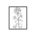 Picture of Single Hydrangea Drawing _GroupedProduct_Rectangle_Portrait_Canvas_Framed_