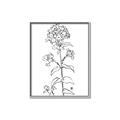 Picture of Single Hydrangea Drawing _GroupedProduct_Rectangle_Portrait_Canvas_Framed_