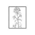 Picture of Single Hydrangea Drawing _GroupedProduct_Rectangle_Portrait_Canvas_Framed_