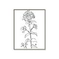 Picture of Single Hydrangea Drawing _GroupedProduct_Rectangle_Portrait_Canvas_Framed_