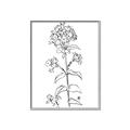 Picture of Single Hydrangea Drawing _GroupedProduct_Rectangle_Portrait_Canvas_Framed_