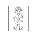 Picture of Single Hydrangea Drawing _GroupedProduct_Rectangle_Portrait_Canvas_Framed_