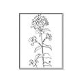 Picture of Single Hydrangea Drawing _GroupedProduct_Rectangle_Portrait_Canvas_Framed_