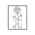 Picture of Single Hydrangea Drawing _GroupedProduct_Rectangle_Portrait_Canvas_Framed_