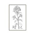 Picture of Single Hydrangea Drawing _GroupedProduct_Rectangle_Portrait_Canvas_Framed_