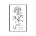 Picture of Single Hydrangea Drawing _GroupedProduct_Rectangle_Portrait_Canvas_Framed_
