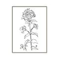 Picture of Single Hydrangea Drawing _GroupedProduct_Rectangle_Portrait_Canvas_Framed_