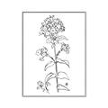 Picture of Single Hydrangea Drawing _GroupedProduct_Rectangle_Portrait_Canvas_Framed_
