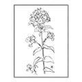 Picture of Single Hydrangea Drawing _GroupedProduct_Rectangle_Portrait_Canvas_Framed_