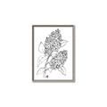 Picture of Panicle Hydrangea Drawing _GroupedProduct_Rectangle_Portrait_Canvas_Framed_