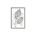 Picture of Panicle Hydrangea Drawing _GroupedProduct_Rectangle_Portrait_Canvas_Framed_