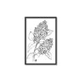 Picture of Panicle Hydrangea Drawing _GroupedProduct_Rectangle_Portrait_Canvas_Framed_