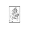 Picture of Panicle Hydrangea Drawing _GroupedProduct_Rectangle_Portrait_Canvas_Framed_
