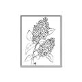 Picture of Panicle Hydrangea Drawing _GroupedProduct_Rectangle_Portrait_Canvas_Framed_