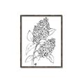 Picture of Panicle Hydrangea Drawing _GroupedProduct_Rectangle_Portrait_Canvas_Framed_