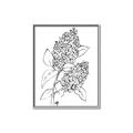 Picture of Panicle Hydrangea Drawing _GroupedProduct_Rectangle_Portrait_Canvas_Framed_