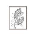 Picture of Panicle Hydrangea Drawing _GroupedProduct_Rectangle_Portrait_Canvas_Framed_