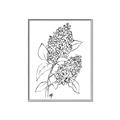 Picture of Panicle Hydrangea Drawing _GroupedProduct_Rectangle_Portrait_Canvas_Framed_