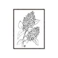 Picture of Panicle Hydrangea Drawing _GroupedProduct_Rectangle_Portrait_Canvas_Framed_