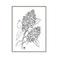 Picture of Panicle Hydrangea Drawing _GroupedProduct_Rectangle_Portrait_Canvas_Framed_
