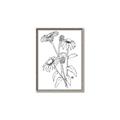 Picture of Daisy Drawing _GroupedProduct_Rectangle_Portrait_Canvas_Framed_