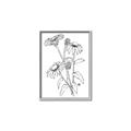 Picture of Daisy Drawing _GroupedProduct_Rectangle_Portrait_Canvas_Framed_