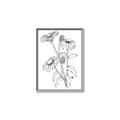 Picture of Daisy Drawing _GroupedProduct_Rectangle_Portrait_Canvas_Framed_