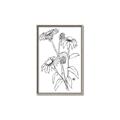 Picture of Daisy Drawing _GroupedProduct_Rectangle_Portrait_Canvas_Framed_