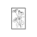 Picture of Daisy Drawing _GroupedProduct_Rectangle_Portrait_Canvas_Framed_