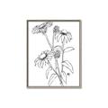 Picture of Daisy Drawing _GroupedProduct_Rectangle_Portrait_Canvas_Framed_