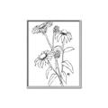 Picture of Daisy Drawing _GroupedProduct_Rectangle_Portrait_Canvas_Framed_