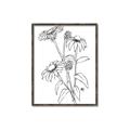 Picture of Daisy Drawing _GroupedProduct_Rectangle_Portrait_Canvas_Framed_