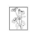 Picture of Daisy Drawing _GroupedProduct_Rectangle_Portrait_Canvas_Framed_