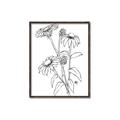 Picture of Daisy Drawing _GroupedProduct_Rectangle_Portrait_Canvas_Framed_