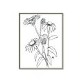 Picture of Daisy Drawing _GroupedProduct_Rectangle_Portrait_Canvas_Framed_
